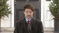 Trudeau announces four plane loads of N95 masks have arrived News Clip