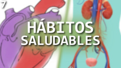 Hábitos saludables del aparato circulatorio y excretor Instructional Video