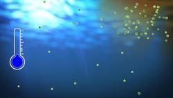 Turkey fights back against ‘sea snot’ invasion Instructional Video