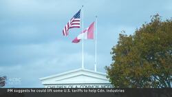 Carney suggests U.S. tariffs could drop to help Canadian industry News Clip