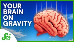 Why Up Matters to Your Brain Instructional Video