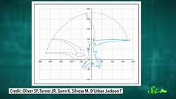 7 of the Most Uniquely Fierce Sharks Instructional Video