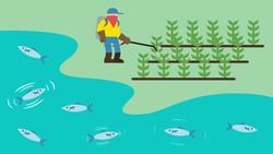 GM Crops Instructional Video