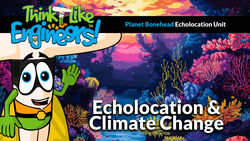 From Bats to Submarines: Sonar and Climate Change Solutions Instructional Video