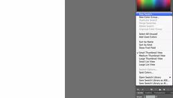 How to Use Adobe Illustrator Swatch Libraries Instructional Video