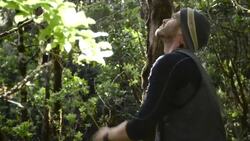 Why Saving The Honeycreeper in Hawaii Is So Important Instructional Video