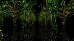 Neon Tree illumination Stock Footage