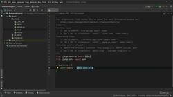 Python In Practice - 15 Projects to Master Python - Customizing the Homepage View Instructional Video