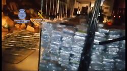 Watch: Spanish police seize six tons of cocaine hidden in banana cargo News Clip