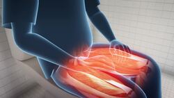 Sloped toilets proposed to reduce long bathroom breaks Instructional Video