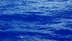 Turquoise Ocean Background Stock Footage