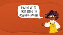 Let's Look and Sketch Instructional Video