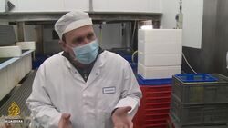 Scottish fishing industry faces crisis over EU shipping delays News Clip