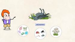 Understanding Movement of Matter through the Ecosystem Instructional Video