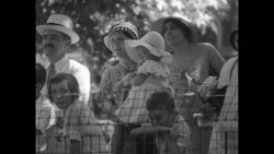 Two lion cubs entertain people with their antics in zoo in St. Louis News Clip