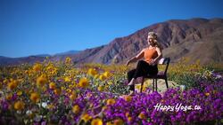 Yoga Quickie for Abs & Thighs Instructional Video