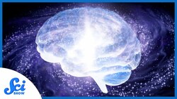 How Does Space Change Your Brain? Instructional Video