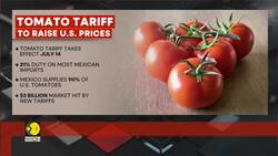 US slaps tariff on Mexican tomatoes News Clip