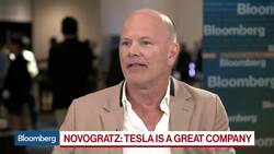 Novogratz Sees Stocks Going 'Parabolic,' Maybe 24% or Higher This Year News Clip