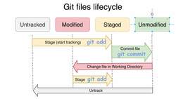 Complete Git Guide: Understand and Master Git and GitHub - Git File Statuses: Untracked, Tracked, and Ignored Instructional Video