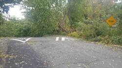 'Bomb Cyclone' Causes Major Power Outages In New England News Clip