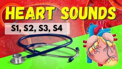 Heart Sounds Made Easy - S1, S2, S3, S4 and Murmurs (Systolic and Diastolic) Instructional Video