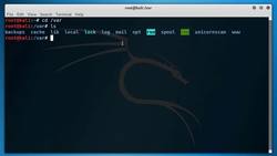 Understand Color Codings Instructional Video