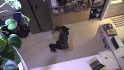 CLEAN : AFPTV BEST OF 2021 // Voguing balls let LGBT Chinese shine News Clip