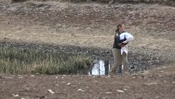 CLEAN : Race to save animals on Australia's fire ravaged Galapagos News Clip