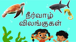 A Peek at Aquatic Animals - Tamil Instructional Video