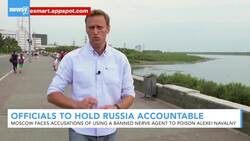 Officials To Hold Russia Accountable For Alexei Navalny Poisoning News Clip