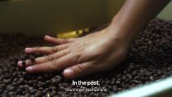 Casa Lapin Instructional Video