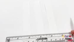 Candy Chromatography: What Colors Are in Your Candy? Instructional Video