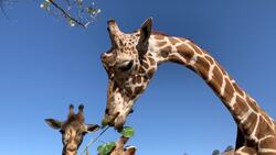 Calif. evacuees return home as fire threat weakens Instructional Video