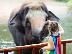 Exploring Independence and Growing Up Instructional Video