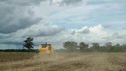 Tractor harvesting agriculture in 120fps slow-motion Stock Footage
