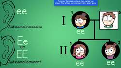 Pedigrees Instructional Video