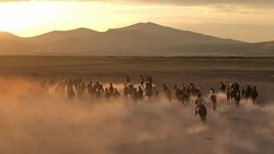 Yilki horses running Stock Footage