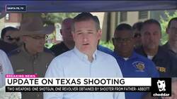 Sen. Ted Cruz: We Need to Do 'Everything Possible' to Stop This From Happening Again News Clip