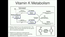 Vitamin K: Metabolism and Function Instructional Video