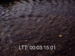 Scotland Roxburgh 1970s Stock Footage