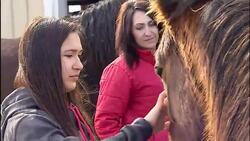 Ottawa spent more than $110K fighting Indigenous girl’s braces claim News Clip