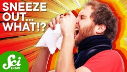 The Weirdest Things That Sneezing Can Do To You Instructional Video