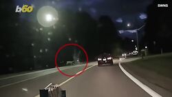 This Deer Has Hops! Dashcam Footage Captures An Unreal Moment Instructional Video