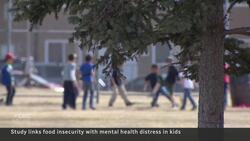 Hungry kids ending up with mental health and substance abuse issues, new study suggests News Clip