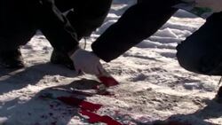 CLEAN : Ukraine activists target Deutsche Bank ove News Clip