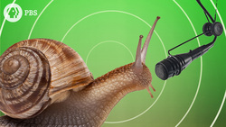 The Golden Ratio and Fibonacci Sequence in Music Instructional Video