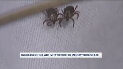 Surge in tick-borne illnesses linked to warmer weather Instructional Video