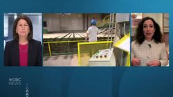 In U.S., Quebec businesses sense resignation, unwillingness to speak on Trump's tariffs News Clip