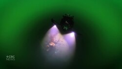 Shipwrecks litter the N.S. coast. Now we can see some in 3D News Clip